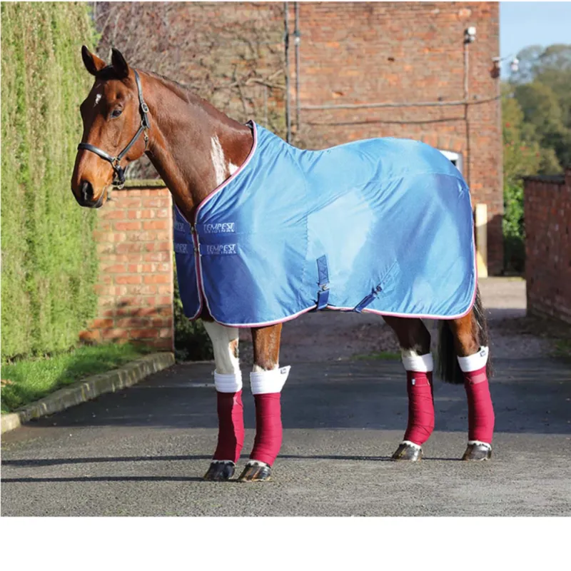 Shires Tempest Original Mesh Cooler - Royal/Pink/Grey